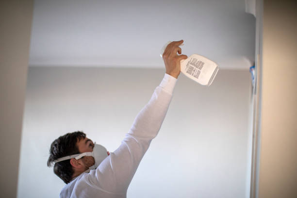 Attic Mold Removal in Millers Falls, MA
